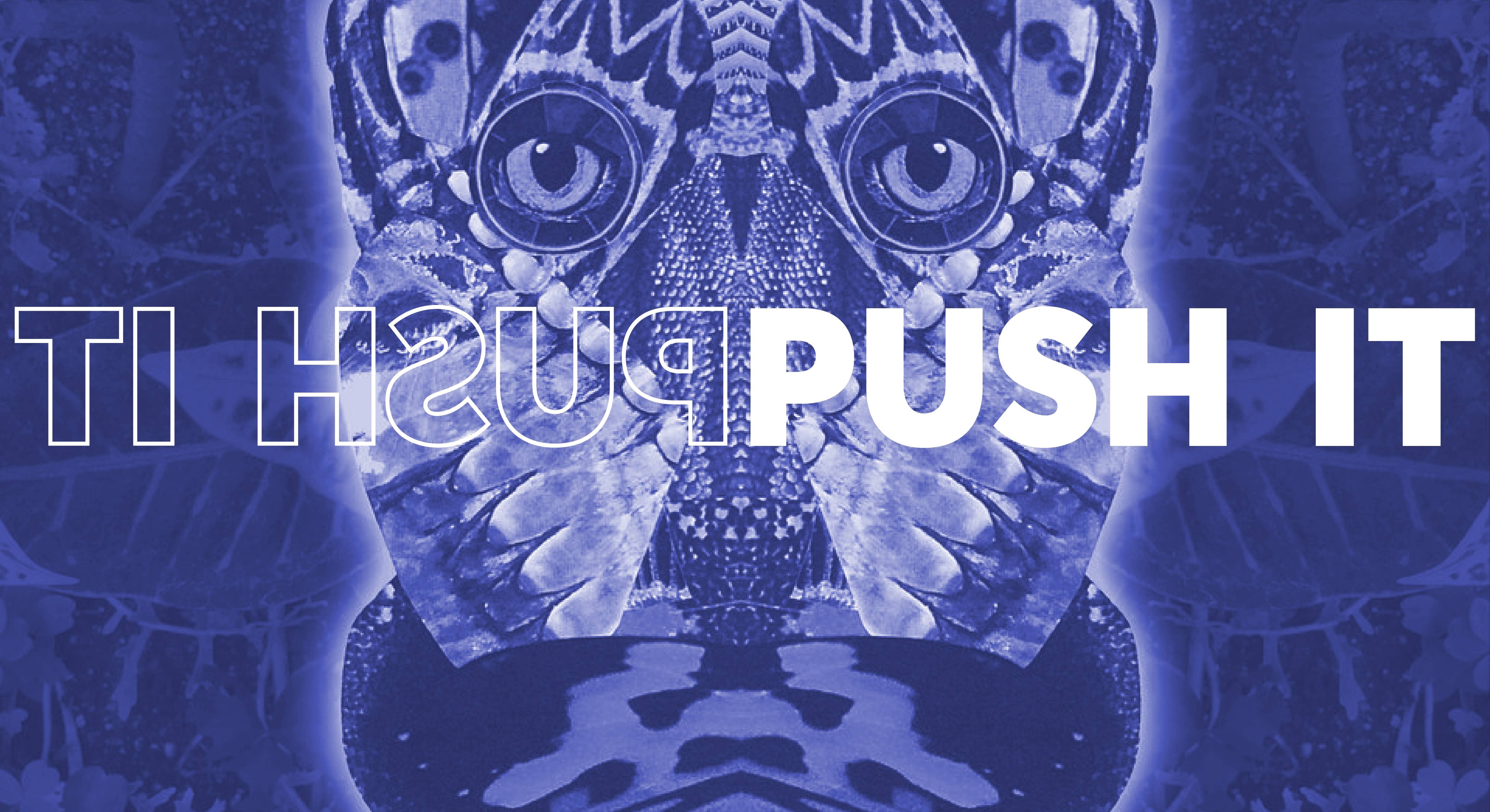 PUSH IT Issue 1 Pursuit Grooves